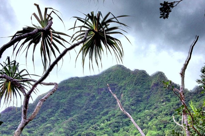 Kualoa Ranch: Novice E-Bike - Guides make the difference