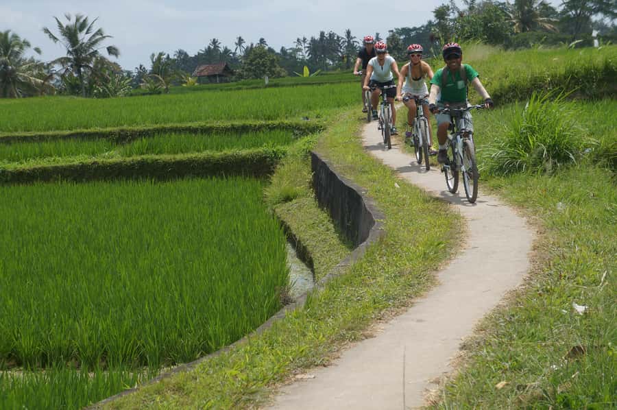 Kuta: Kintamani Culture and Nature Guided Cycling Tour - Is $36 a fair price?