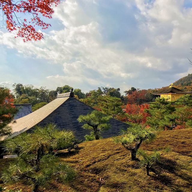 Kyoto: City Secrets eBike Tour - What the e-bikes are really like