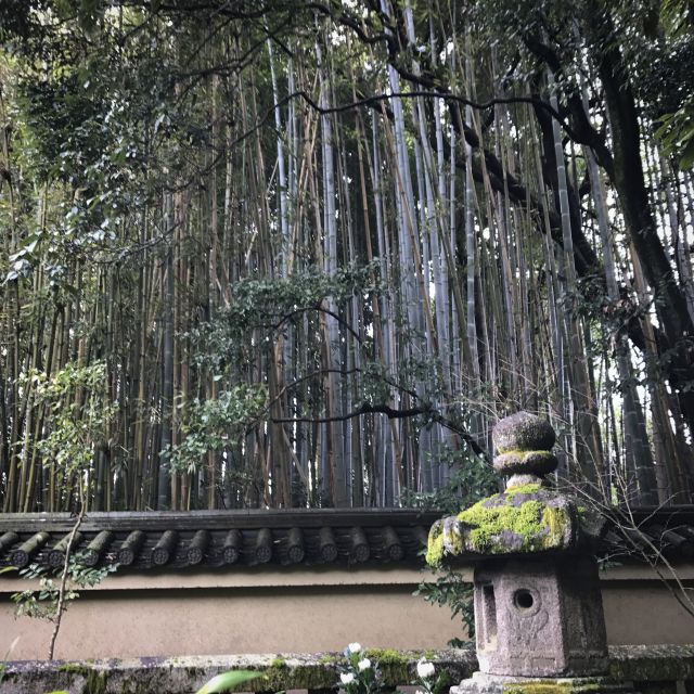 Kyoto: City Secrets eBike Tour - Who should book the Kyoto e-bike tour