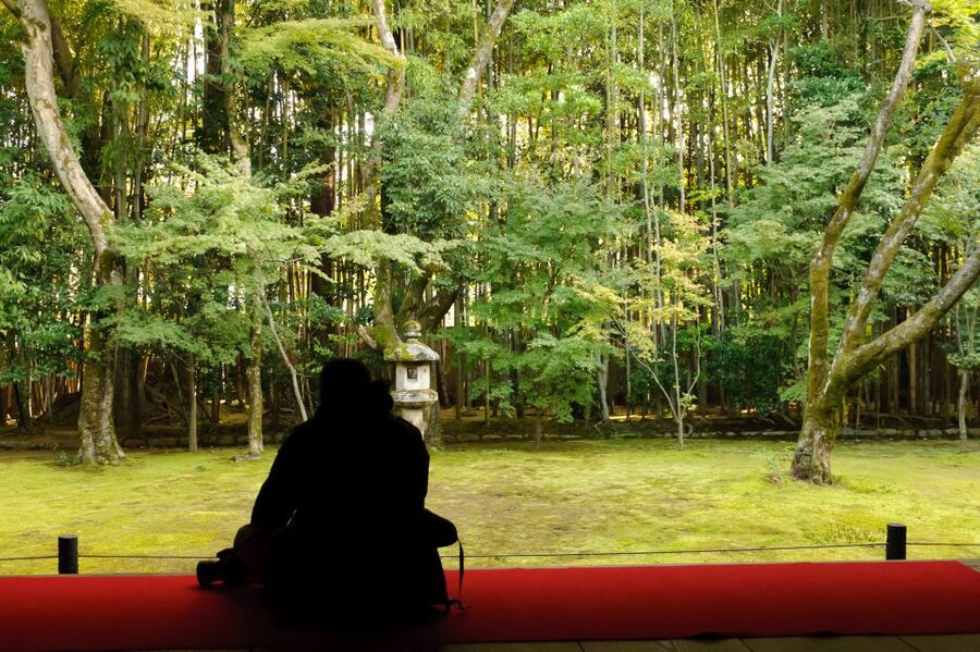 Kyoto: City Secrets eBike Tour - Should you book it?
