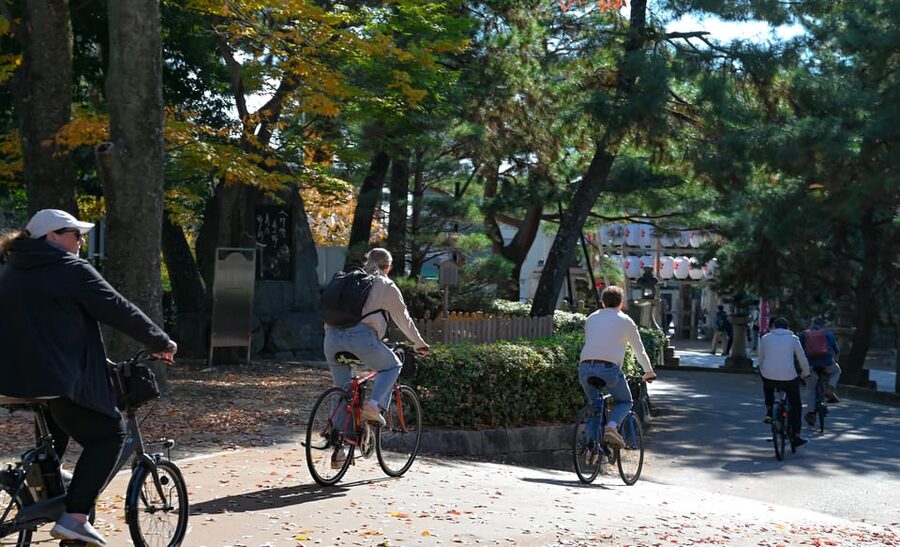 Kyoto: Full Day Bike Tour - Golden Pavilion is the headline stop
