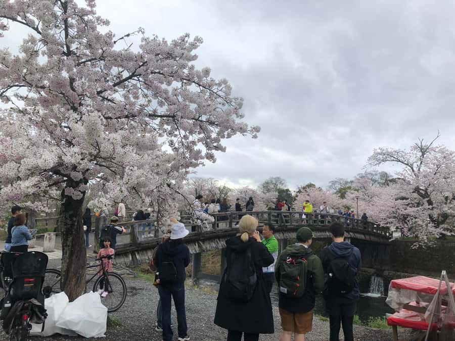 Kyoto: Memory Kyoto E-Bike Tour - Arashiyama Bamboo Forest and a calmer side route