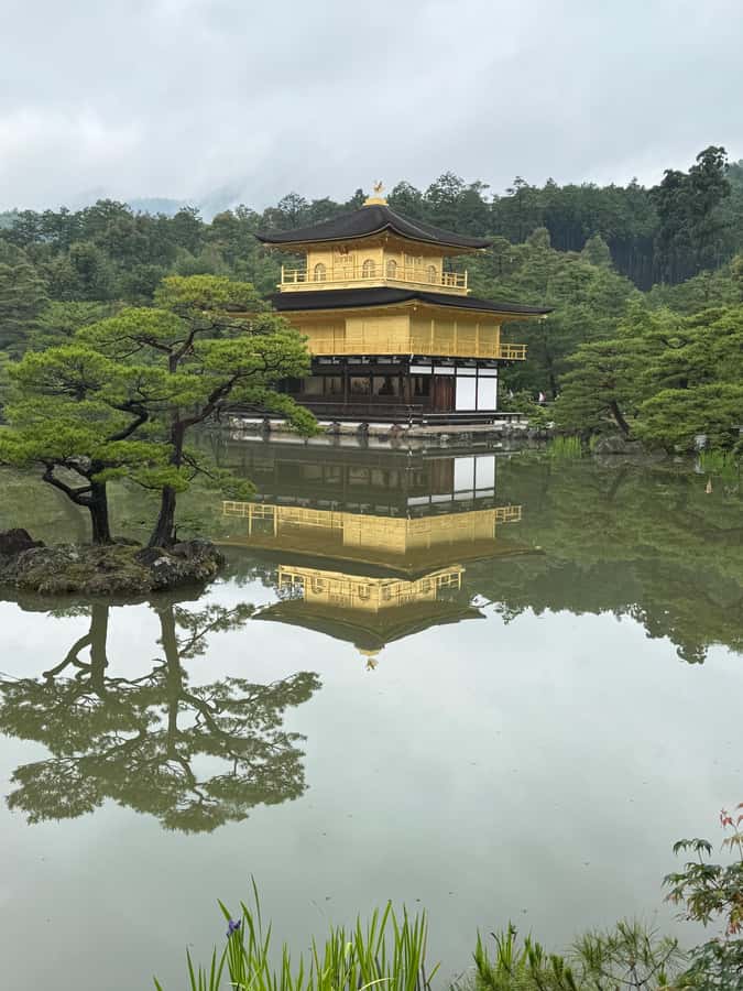 Kyoto: Memory Kyoto E-Bike Tour - What the guide adds to the four stops
