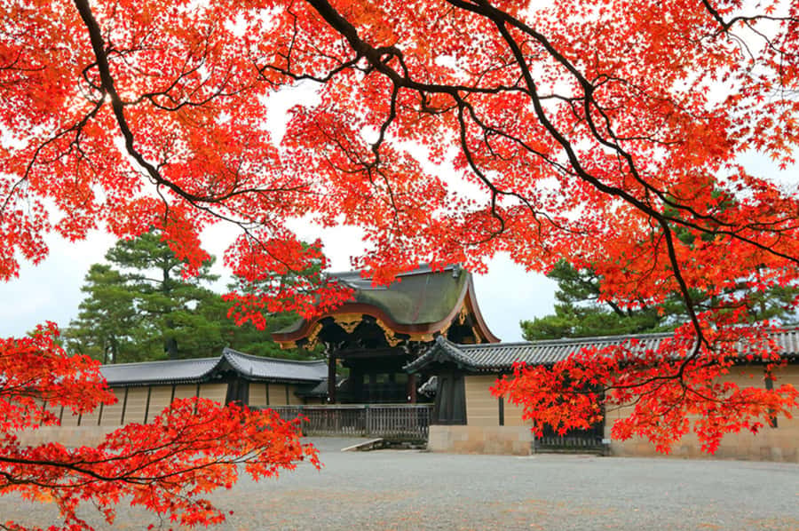 Kyoto: Tailored E-Bike Tour to Highlights & Hidden Gems - Three hours or a longer day