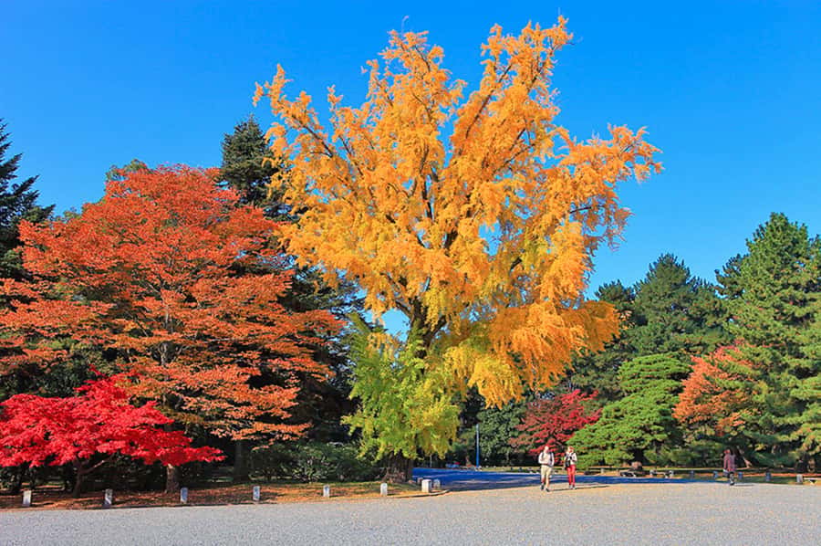 Kyoto: Tailored E-Bike Tour to Highlights & Hidden Gems - Weather, clothing, and comfort