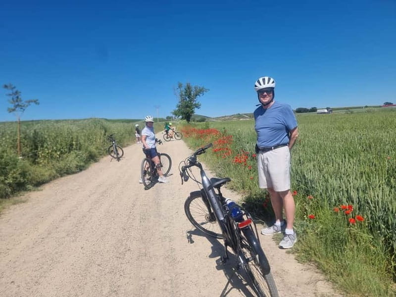 La Rioja: Guided Bike Tour - Four ways to see La Rioja by bike