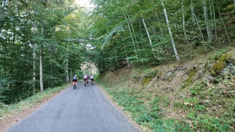 La Rioja: Guided Bike Tour - Should you book the La Rioja bike tour?