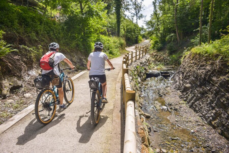Lake Como to Lake Lugano: E-Bike Three Panoramic Lakes - Lake Lugano from the bicycle seat