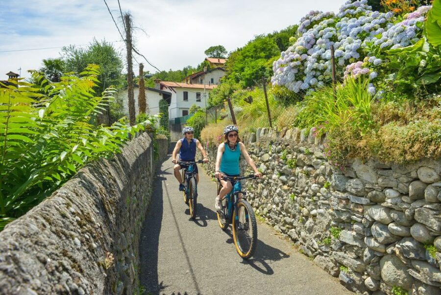 Lake Como to Lake Lugano: E-Bike Three Panoramic Lakes - The Lake Piano nature reserve