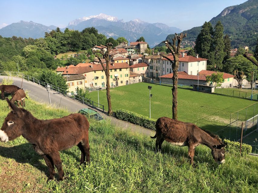 Lake Como to Lake Lugano: E-Bike Three Panoramic Lakes - Into the Val Sanagra river gorge
