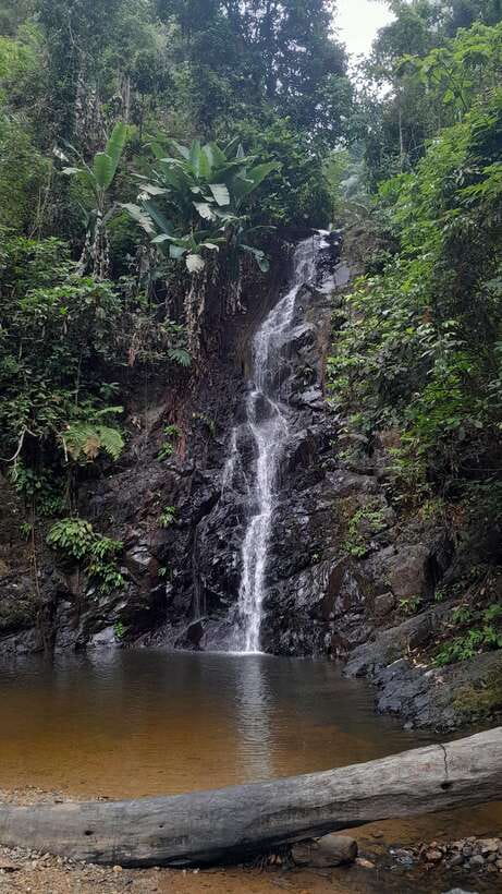Langkawi: Countryside Bike Tour, Waterfall Swim & Dessert - Why this ride shows you a different Langkawi