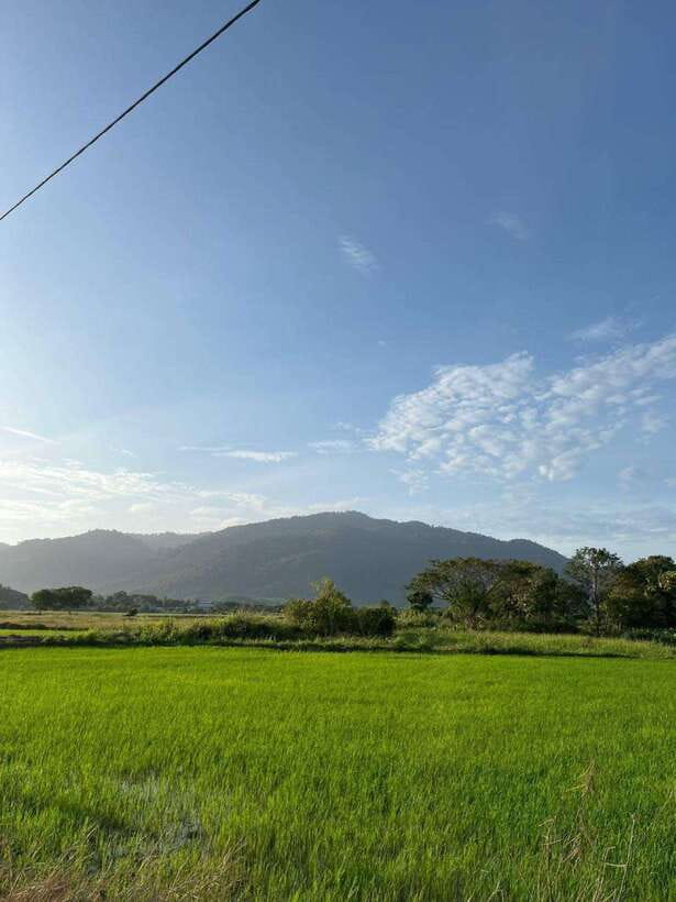 Langkawi: Countryside Bike Tour, Waterfall Swim & Dessert - Riding through rice fields and village lanes