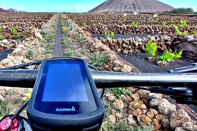 Lanzarote E-Bike Tour: Volcano Craters & Scenic Vineyards - Starting in La Geria among the volcanic vineyards