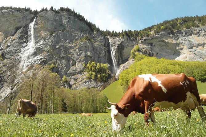 Lauterbrunnen Valley Waterfalls E-bike Tour with Swiss Picnic - What the guides add to the day