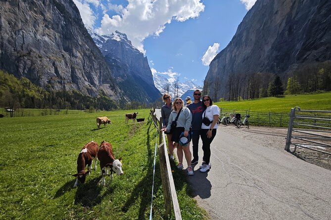 Lauterbrunnen Valley Waterfalls E-bike Tour with Swiss Picnic - Is the $344.31 price good value?