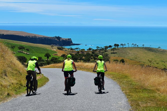 Lava Loop- Guided electric mountain bike tour in Akaroa - The descent and return to Rue Lavaud