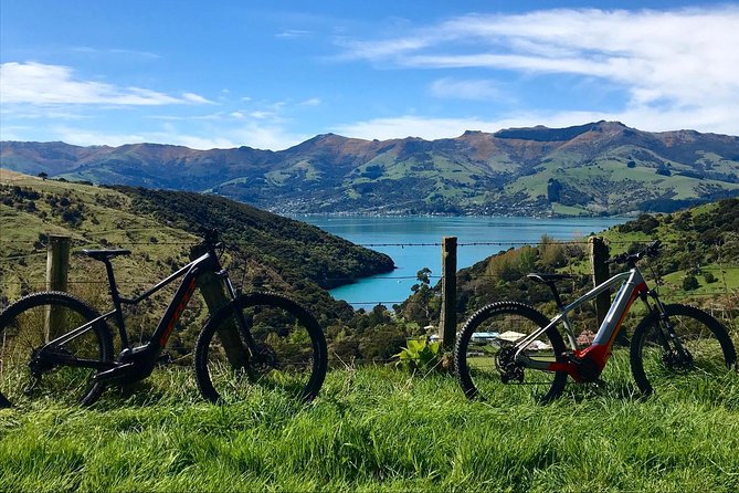 Lava Loop- Guided electric mountain bike tour in Akaroa - Who should book the Lava Loop