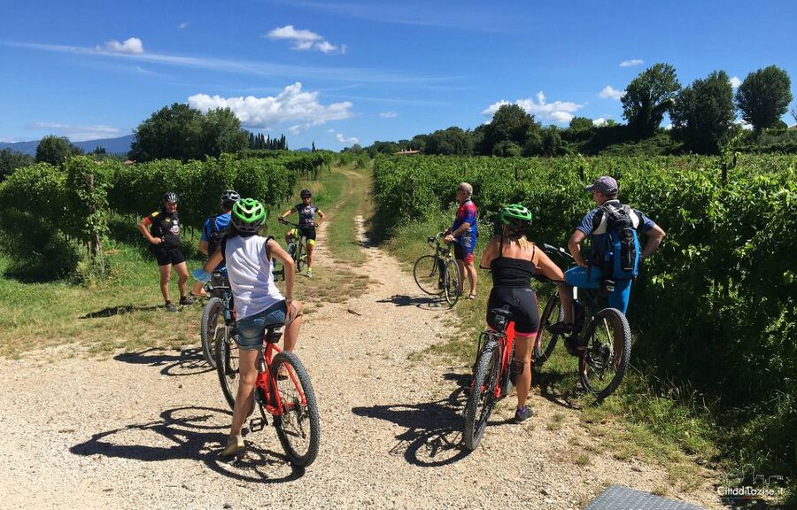 Lazise: Bike Tour and Wine Tasting - Lake Garda viewpoints and photo stops