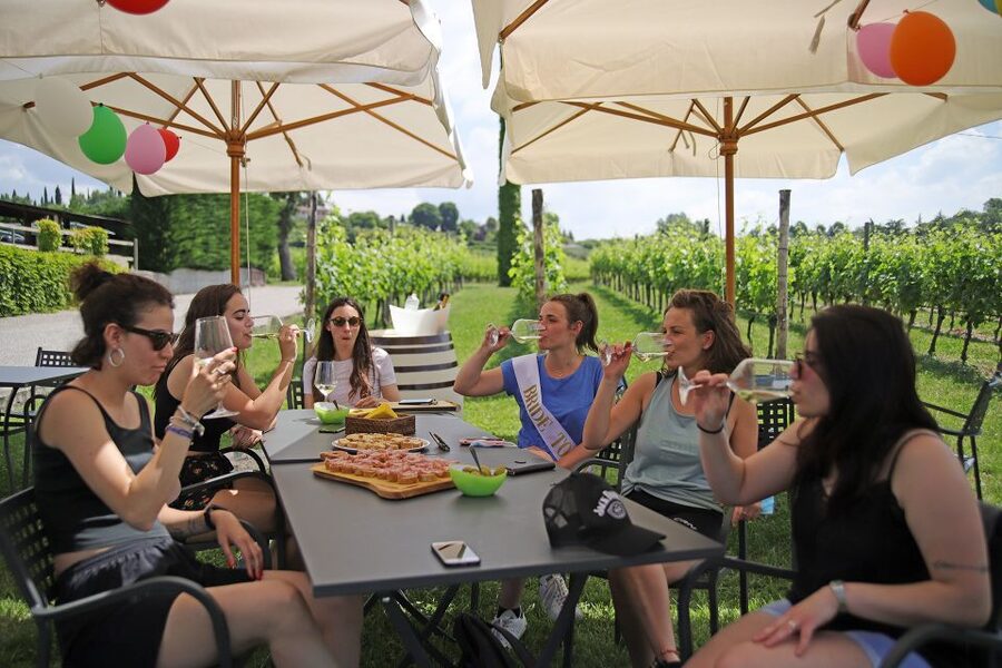 Lazise: Bike Tour and Wine Tasting - Two hours through vineyards and olive groves