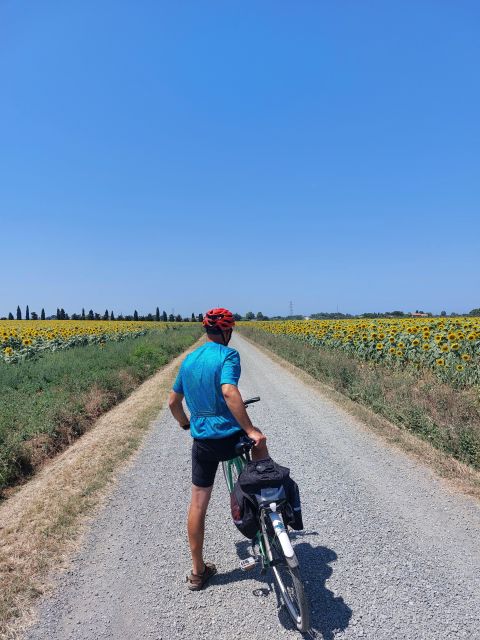 Lecce: E-Bike Tour to Galatina Olive Mill & Wine taste +Taxi - Return to Lecce by private taxi