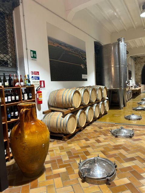 Lecce: E-Bike Tour to Galatina Olive Mill & Wine taste +Taxi - Starting in Lecce with the right equipment