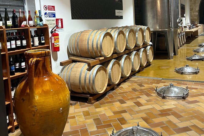 Lecce to Galatina E-Bike: Olive Mill & Wine Tasting + Taxi back - Santa Caterina d’Alessandria and its painted interior