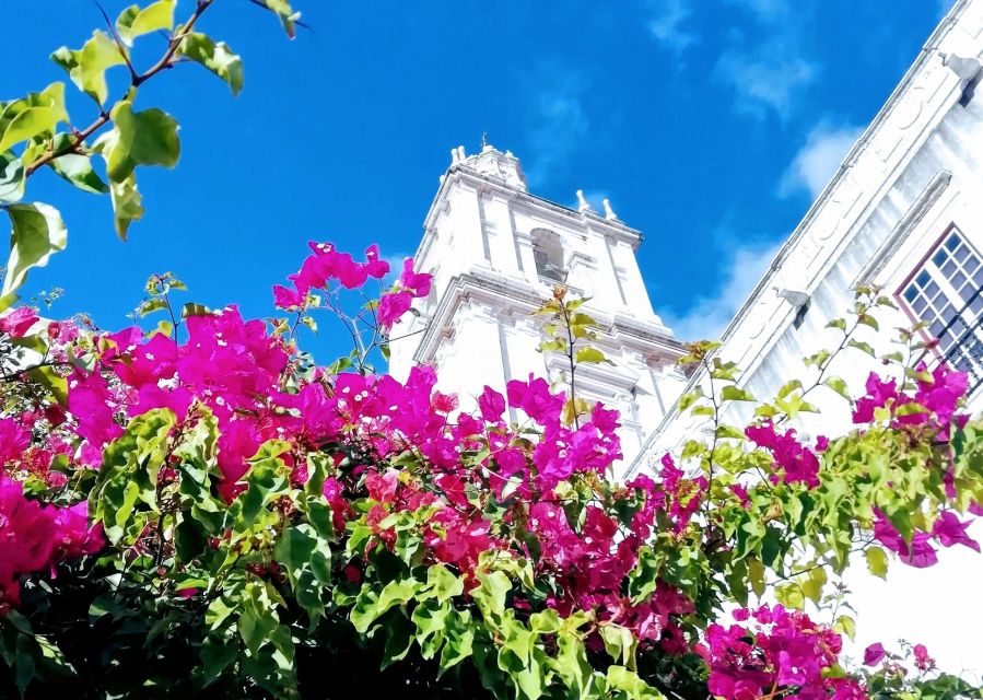Lisbon: 7 Hills Panoramic Guided Tour by E-Bike - Who should book this Lisbon bike tour?