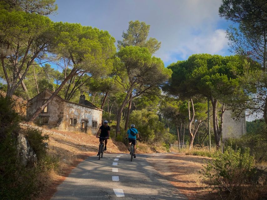 Lisbon: E-bike Trip from the Sintra Mountains to Cascais Sea - Through the Sintra countryside with sheep and horses