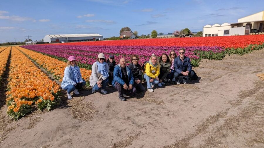 Lisse: Enjoy the Tulip Fields by Bike with a Local Guide! - Why cycling Lisse beats seeing tulips from a bus