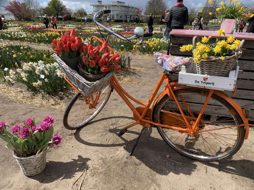 Lisse: Enjoy the Tulip Fields by Bike with a Local Guide! - Riding toward Kasteel Keukenhof