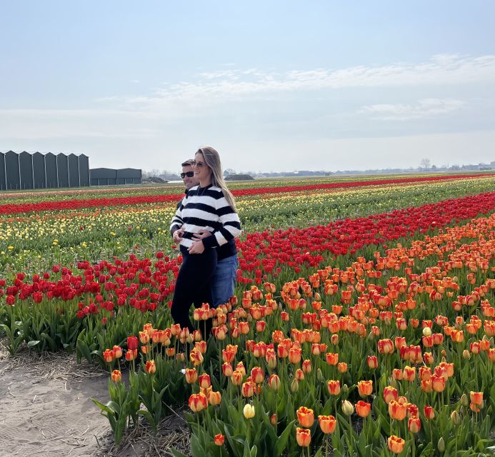 Lisse: Enjoy the Tulip Fields by Bike with a Local Guide! - A gentle ride, not a fitness challenge