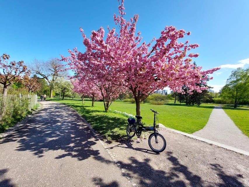Ljubljana by E-Bike: Guided City Highlights Tour - The climb to Ljubljana Castle