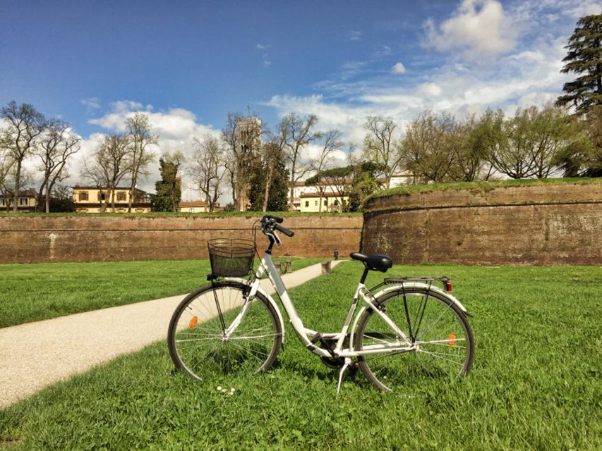 Lucca: City Bike One-Day Rental - Key points to know before you book