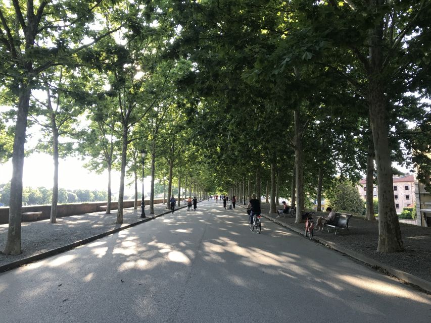 Lucca: City Bike One-Day Rental - Why Lucca works so well on two wheels
