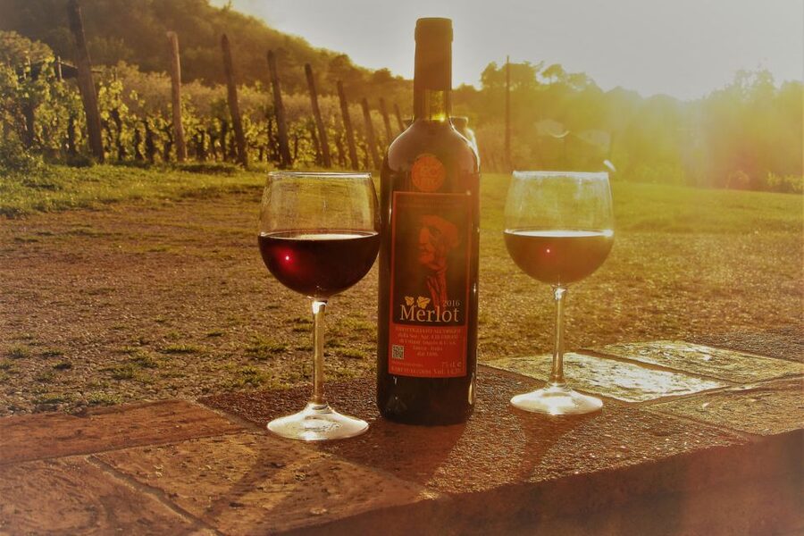 Lucca: Guided E-Bike and Wine Tour - Why this Lucca e-bike and wine tour works so well