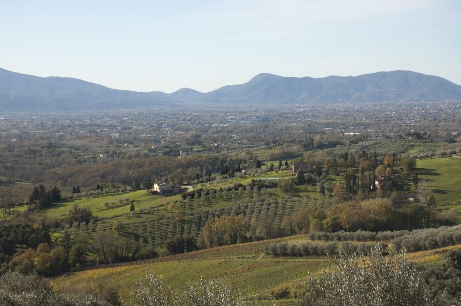 Lucca: Guided E-Bike and Wine Tour - The tasting: wine with a proper Tuscan spread
