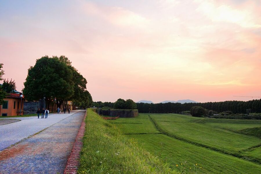 Lucca: Picnic Lunch at a Vineyard by Bike - From Lucca Station to the First Quiet Roads