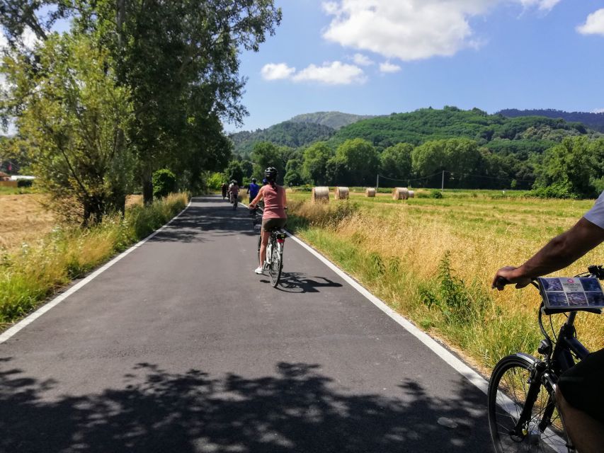 Lucca: Picnic Lunch at a Vineyard by Bike - Following the Puccini Path and Serchio River