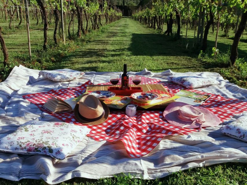 Lucca: Picnic Lunch at a Vineyard by Bike - Picnic Time at the Vineyard