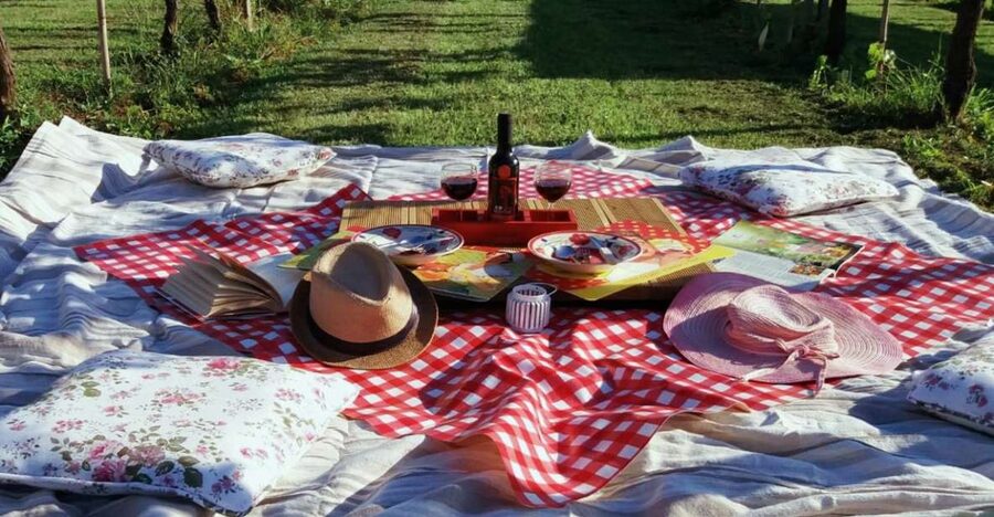 Lucca: Picnic Lunch at a Vineyard by Bike - The Hills Near the Vineyard