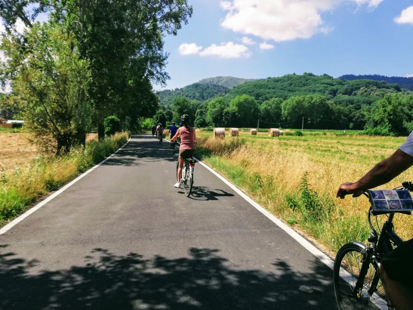 Lucca: Self-Guided Bike Tour to the Wine Roads - The return to Lucca is easier, not effortless
