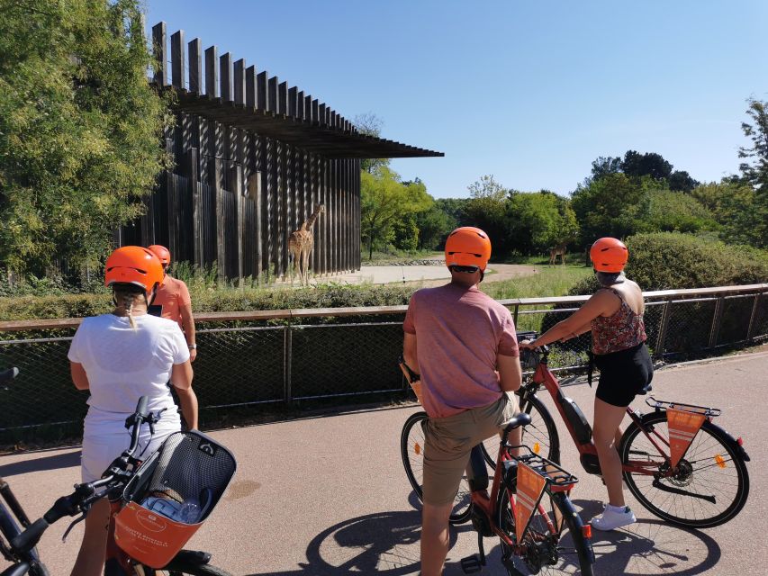 Lyon: 2-Hour Electric Bike Tour with a Local Guide - Key points to know before you ride