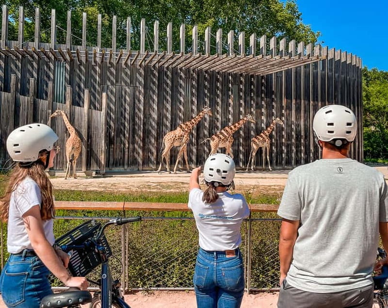 Lyon: Guided City Bike Tour - Confluence, where Lyon looks forward