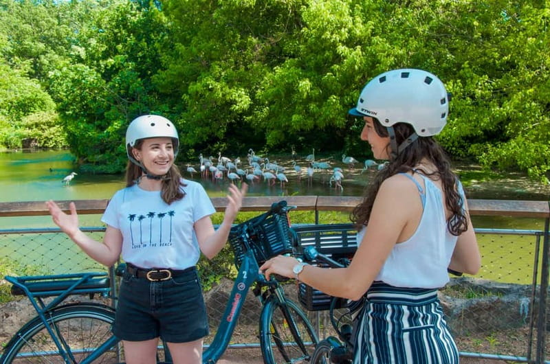 Lyon's must-sees by electric bike - The Saône quays and two famous hills