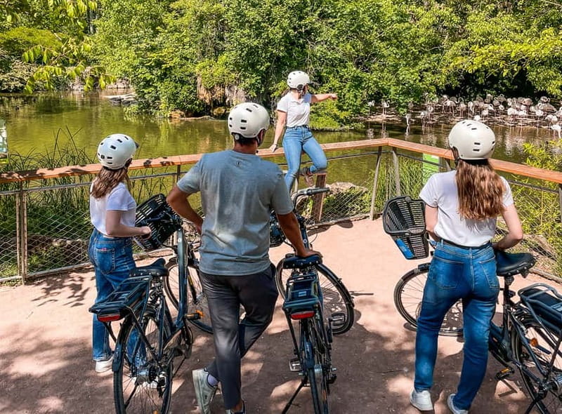 Lyon: Tête d'Or park on an electric bike Tour - Rhône riverbanks and the ride back downtown