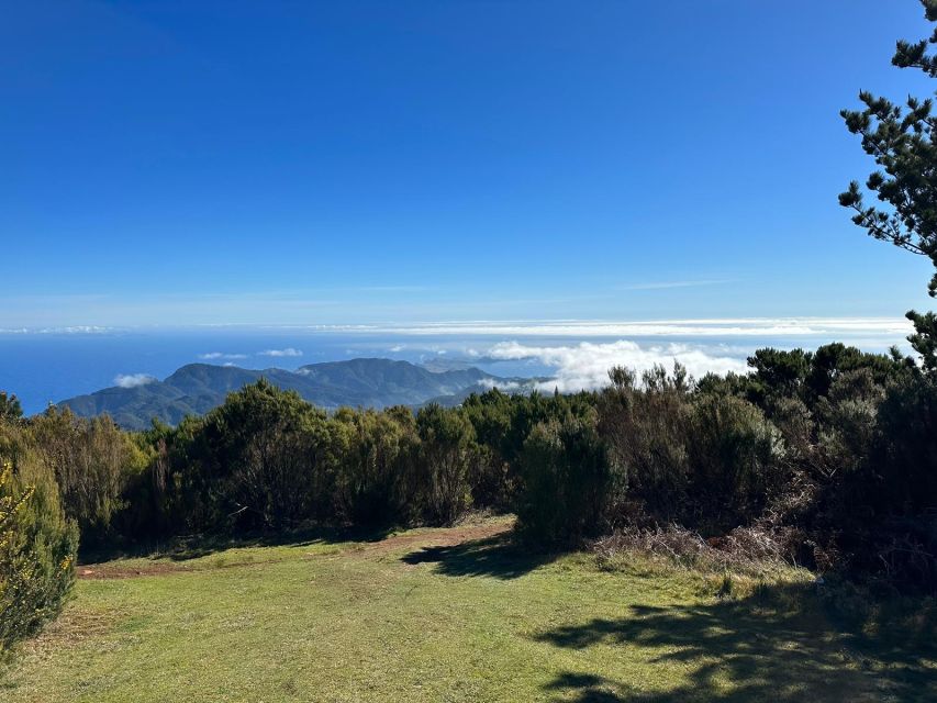Madeira Botanical Levels Bike Tour – Scenic Trail Experience - Should you book the Madeira Botanical Levels Bike Tour?