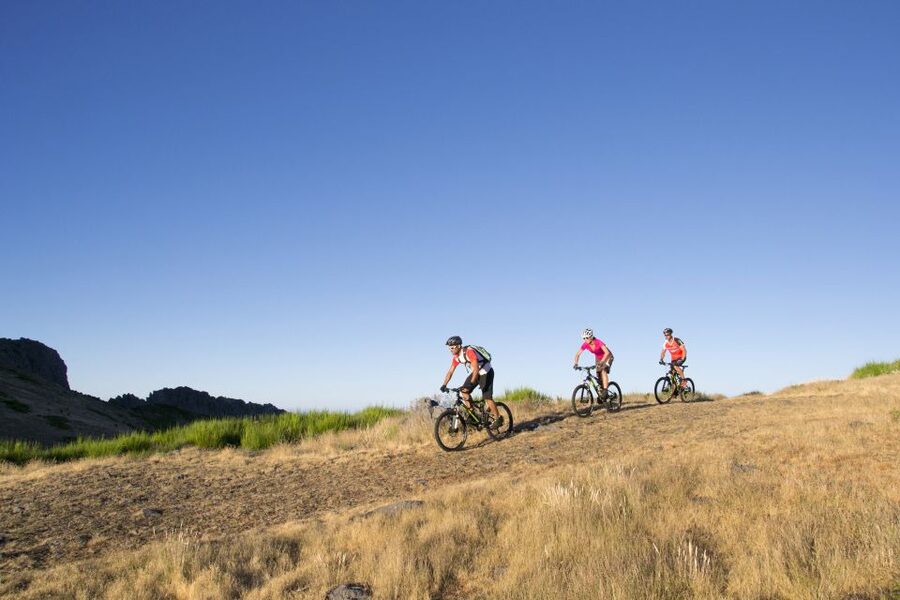 Madeira Botanical Levels Bike Tour – Scenic Trail Experience - Choosing between easy tracks and technical single-track