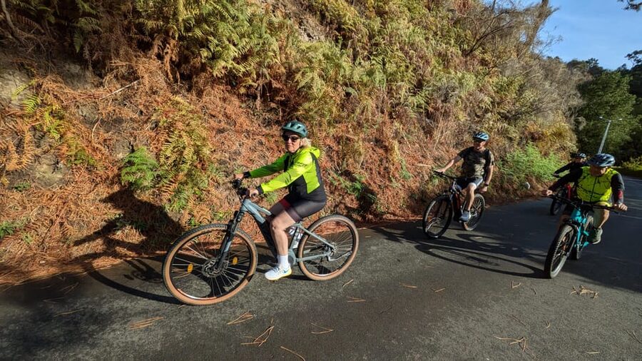Madeira West coast: Guided Sightseeing E-Bike Tour - Miradouro do Fio at Madeira’s western edge