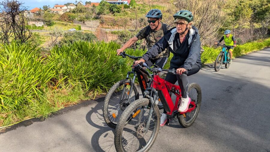 Madeira West coast: Guided Sightseeing E-Bike Tour - Who should book this west coast ride?